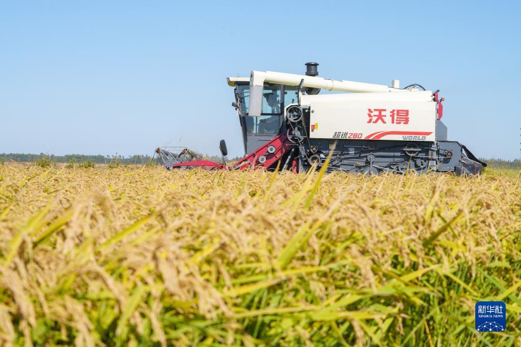 金沙9159登陆